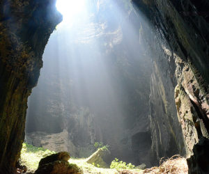 gomantong_cave